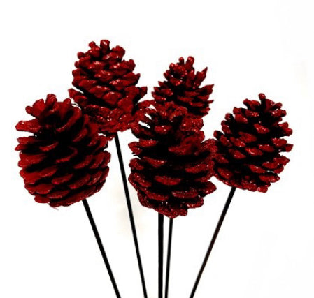 Pinecones on Stem | Red Sparkles