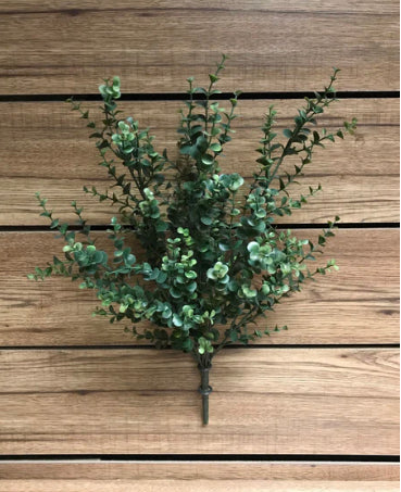 Eucalyptus Bush | 20"