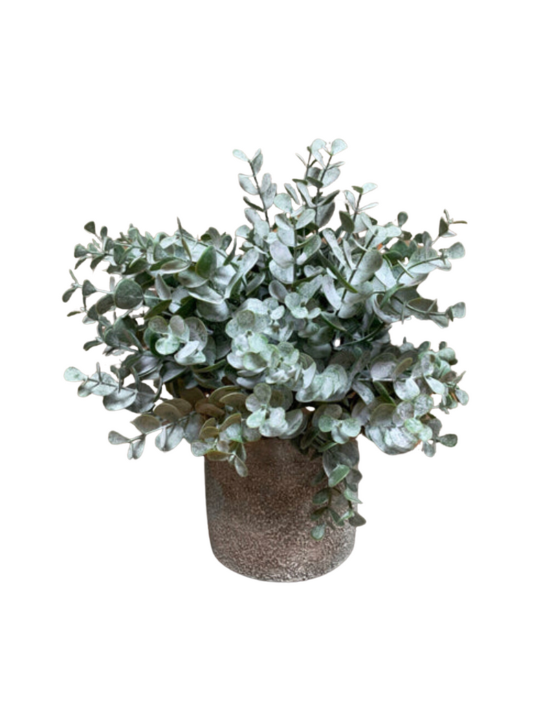 Faux Eucalyptus Bush in Cement Pot | 11"