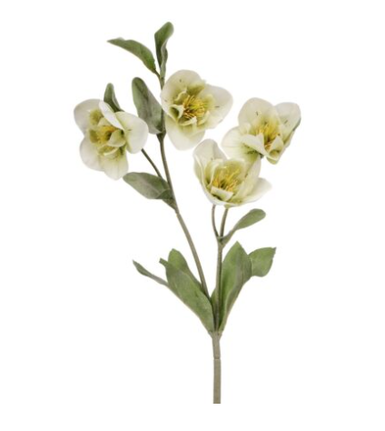 Cream/Green Hellebores Spray | 22"