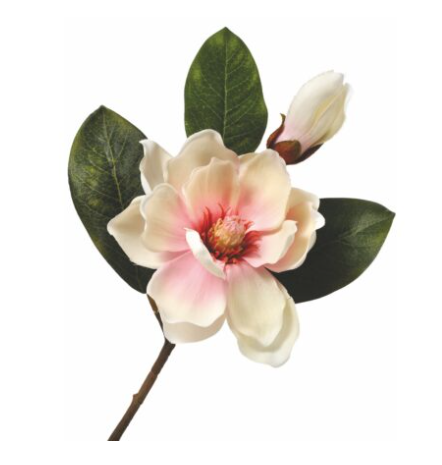 Cream/Pink Magnolia & Bud Pick | 14"