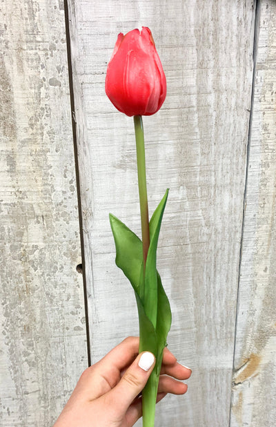 Real Touch Tulips